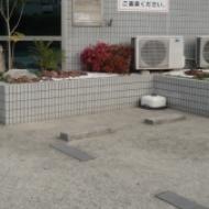 S1 S1
