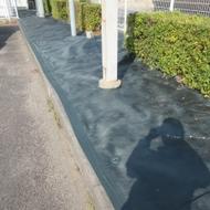 IMG_4827 IMG_4827