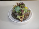 P1010029
