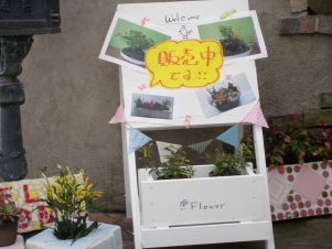 P1010057