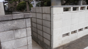 P1010064